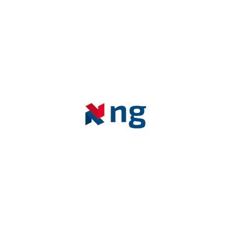 NG Engineering Group Katarzyna Sacała