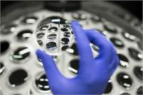 Essilor Optical Laboratory Polska Sp. z o.o. Małgorzata Ścierzyńska